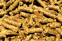 cottonseed-meal-pellets